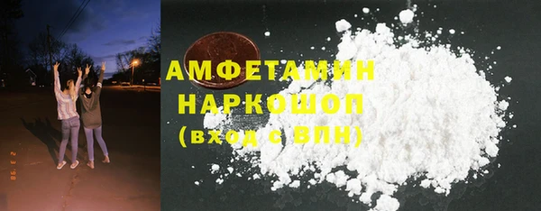 стаф Алзамай
