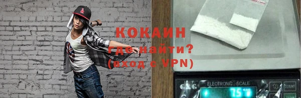 стаф Алзамай