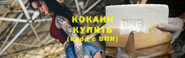стаф Алзамай