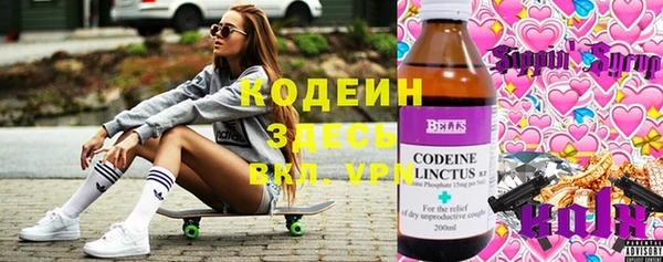 стаф Алзамай