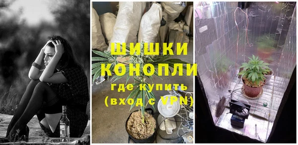 спиды Алексин