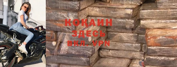 стаф Алзамай