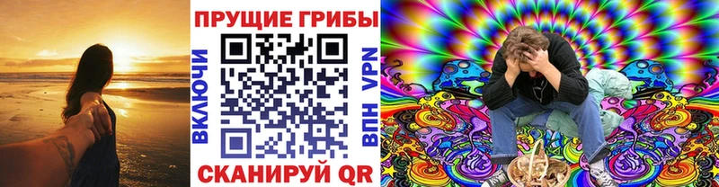 omg ССЫЛКА Волоколамск Галлюциногенные грибы Cubensis