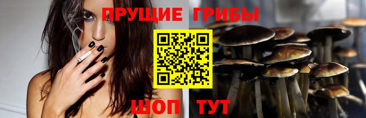 Псилоцибиновые грибы Magic Shrooms  Вход с VPN  Волоколамск 