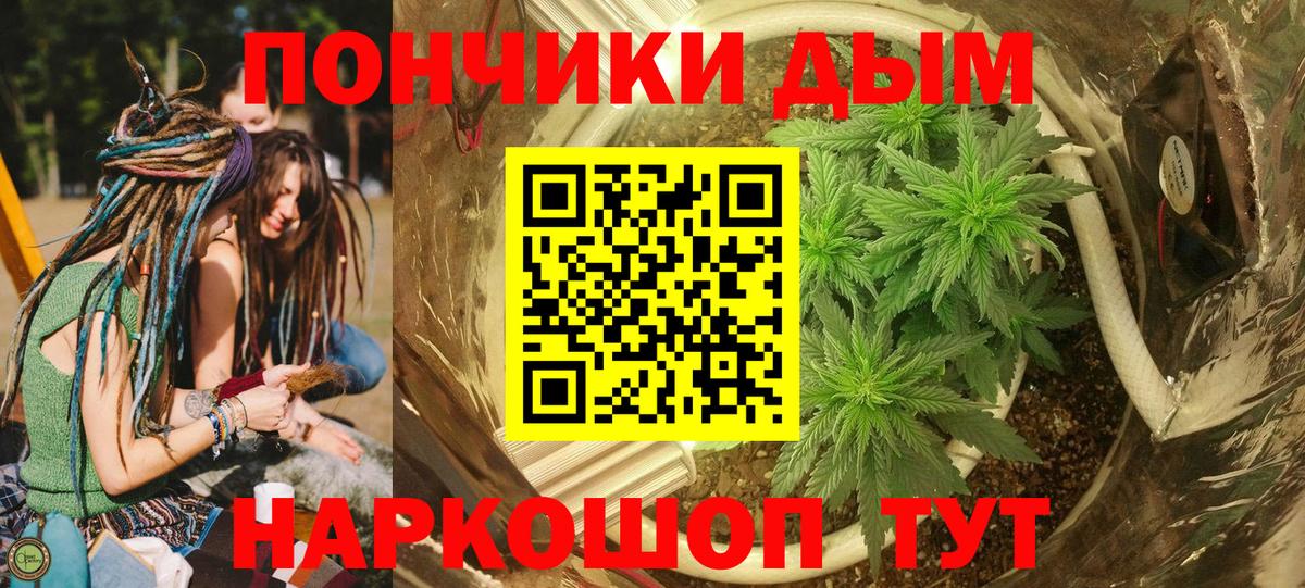 Марихуана сатива Волоколамск